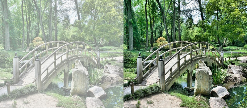 Change opacity of image - Adjust photo transparency